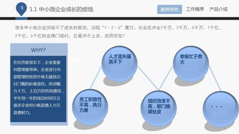 藍白企業(yè)管理咨詢公司 專業(yè)管理咨詢服務(wù)助力企業(yè)卓越發(fā)展