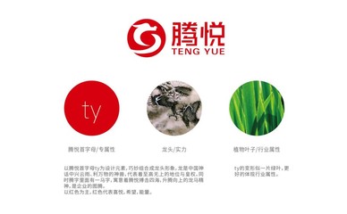 深耕農業沃土，擘畫品牌新篇——專業農業品牌戰略咨詢與企業形象策劃解析